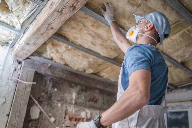 Best Commercial Insulation in Bald Kno, AR