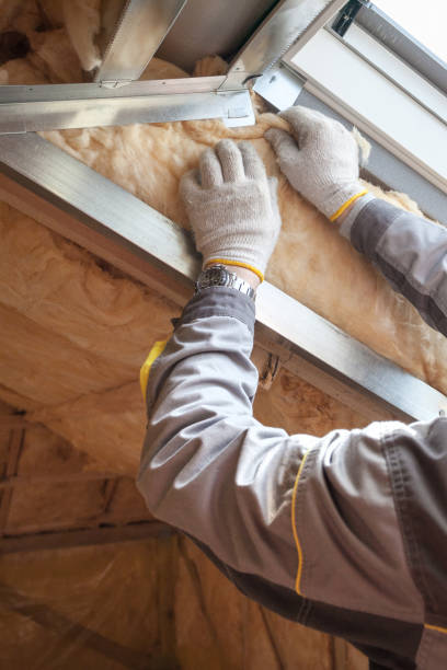 Best Insulation Maintenance and Repair in Bald Kno, AR