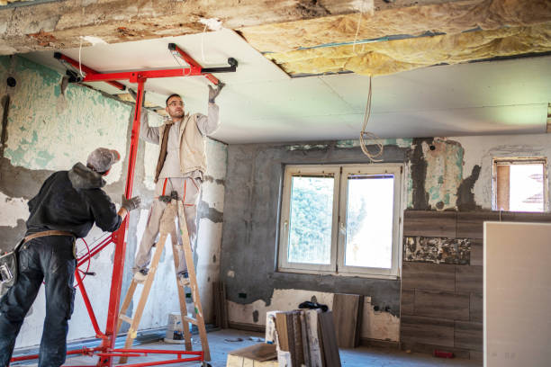 Best Insulation Maintenance and Repair in Bald Kno, AR